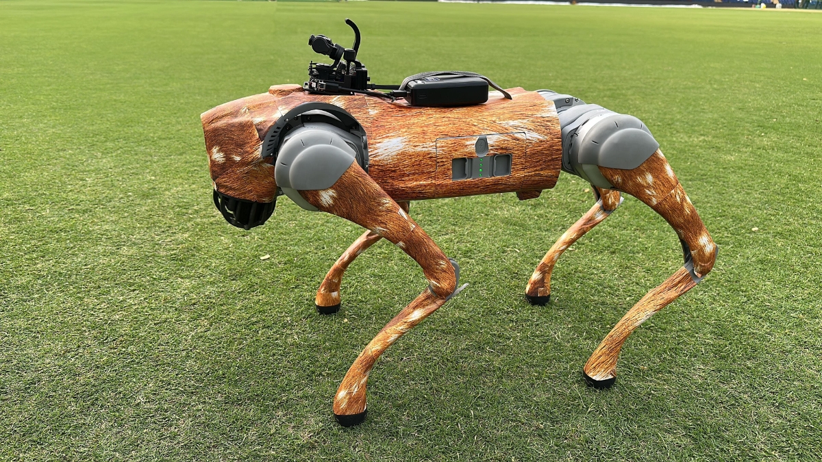wTVision Creates Big Impact At IPL With Its Robotic Dog Camera, A Spectacular Tech Innovation