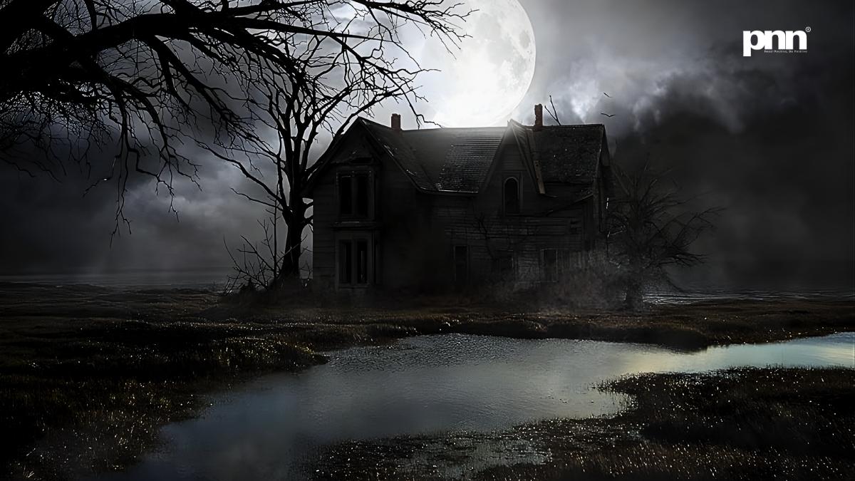 The Horror List Your Therapist Will Thank You Not To Watch